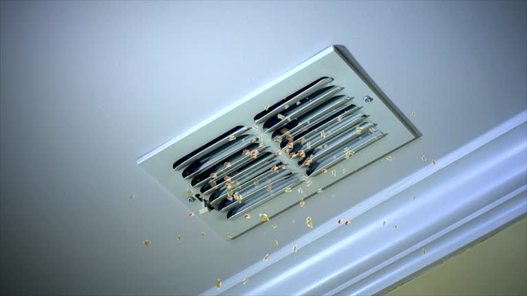 Best Ductwork Cleaning Services  in Clifton Heights, PA